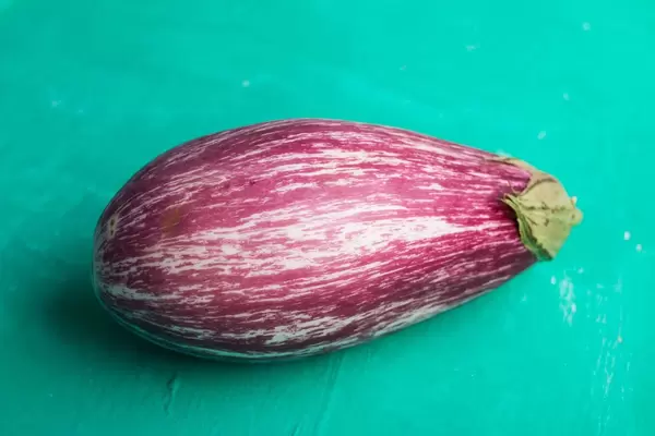 Close up of eggplant