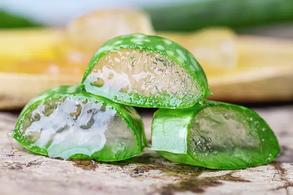Close-up of fresh aloe Vera slices (Flip 2020)