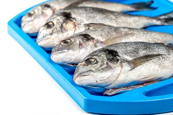 Close-up of fresh Dorado fish on a blue tray (Flip 2020)