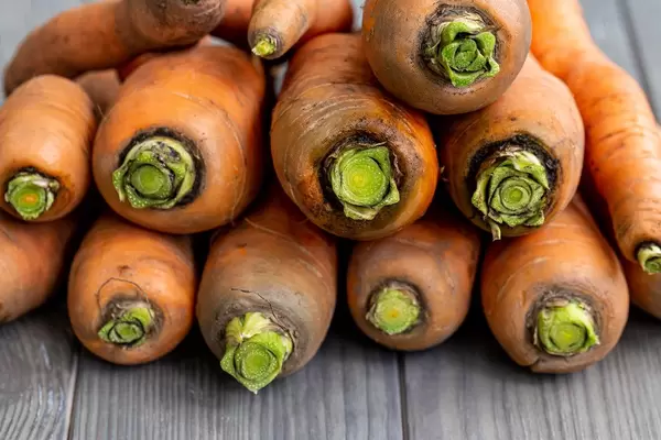 Close-up of fresh ripe carrots