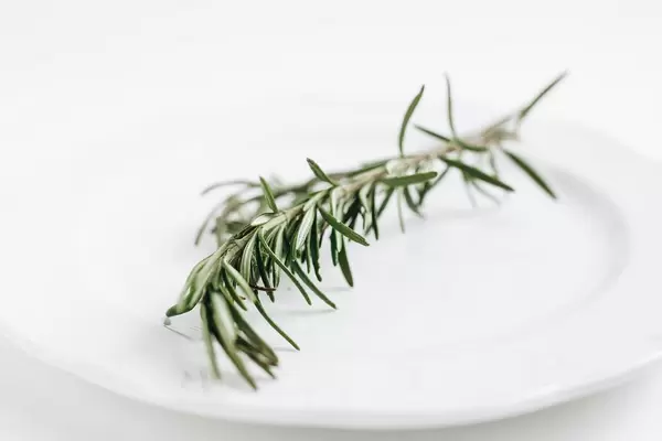 Close up of fresh rosemary on white background