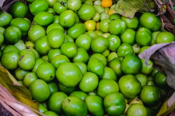 Close up of freshly harvested green tomatoes (Flip 2019)