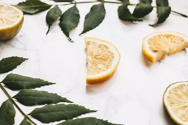 Close up of juicy lemon slice. Lemons and leaves in background