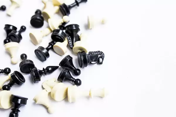 Close up of knight chess figure on white background