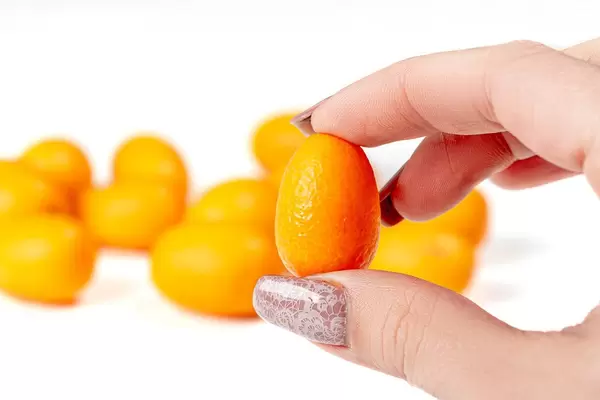Close-up of kumquat fruit in a woman's hand (Flip 2020)