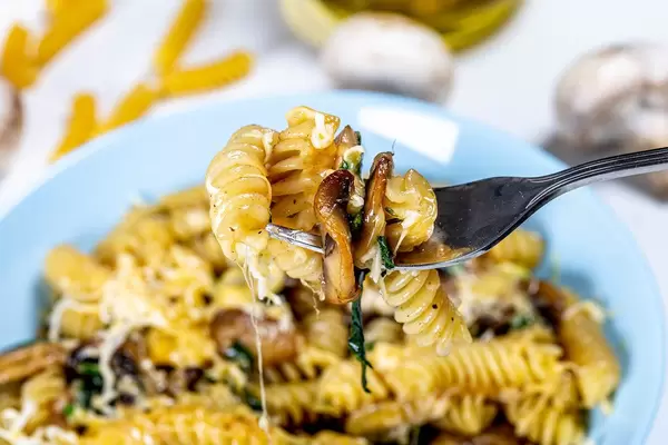 Close-up of pasta with mushrooms and cheese on a fork (Flip 2019)