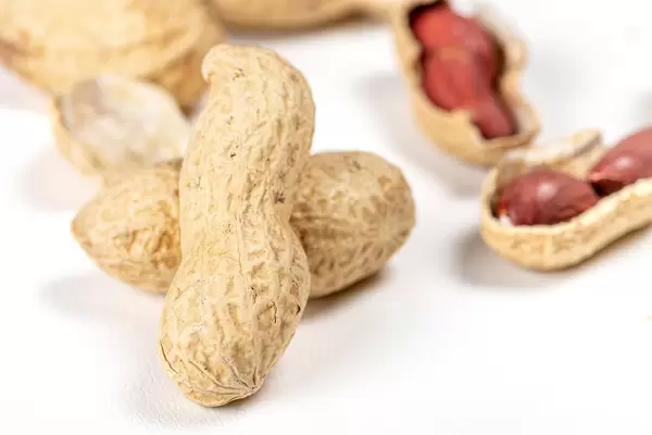 Close-up of peanuts in shell (Flip 2020)