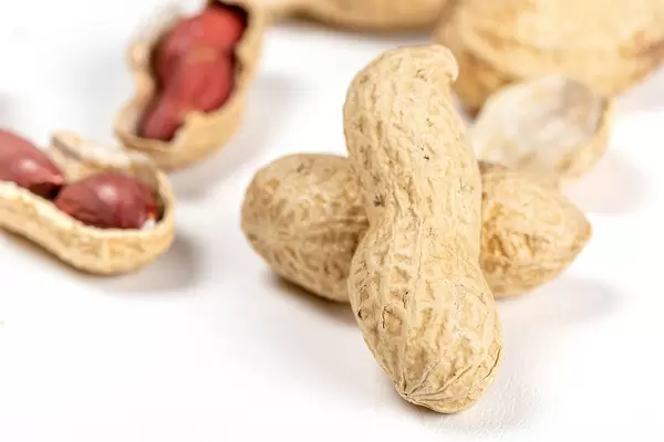Close-up of peanuts in shell