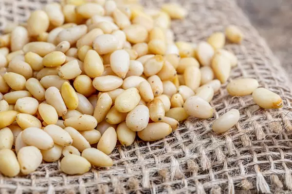 Close-up of pine nuts on burlap