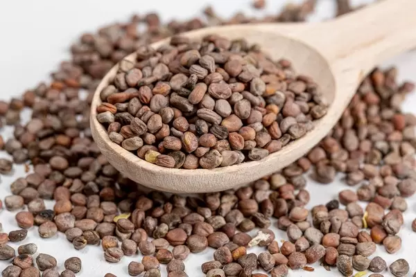 Close-up of radish seeds in a wooden spoon