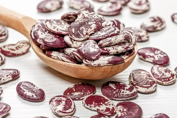 Close - up of raw beans in a wooden spoon (Flip 2019)