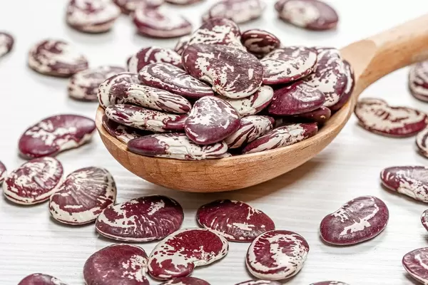 Close - up of raw beans in a wooden spoon