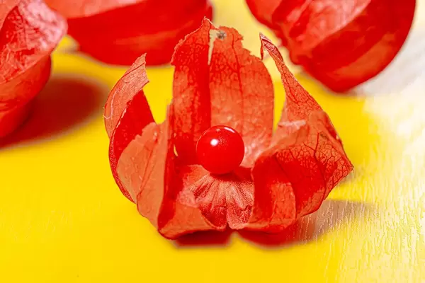 Close - up of ripe physalis fruit on a yellow background (Flip 2019)