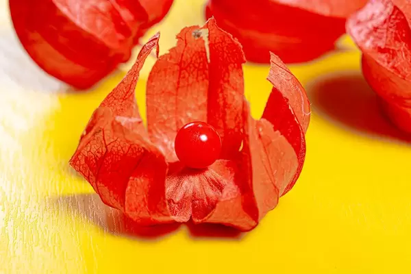 Close - up of ripe physalis fruit on a yellow background