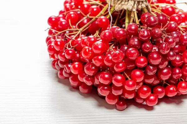 Close - up of ripe viburnum berries on a white wooden background