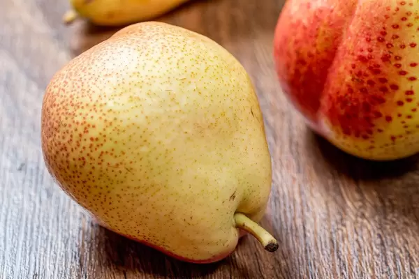 Close-up of ripe yellow pear