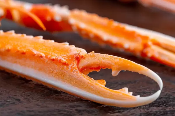 Close-up of the claws of a cooked lobster