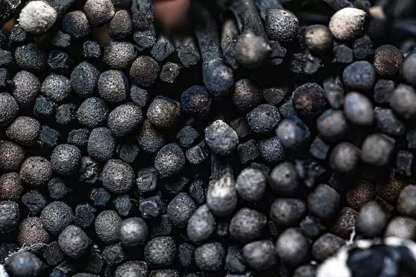 Close-up of the head of burnt matches