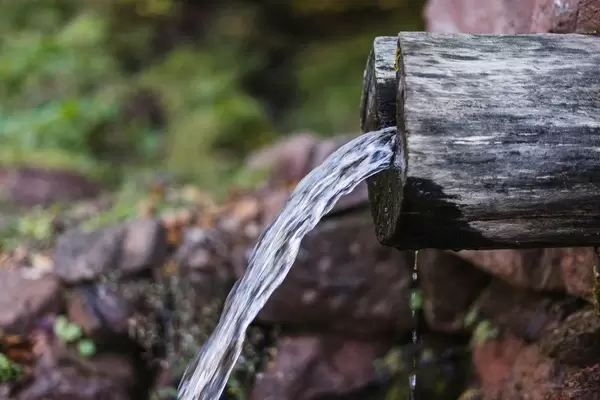 Close Up on a Fresh Water Spring