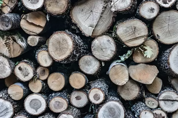 Close Up on a Stack of Firewood