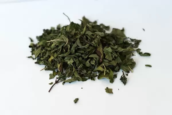 Close Up on Dry Mint Leaves on the White Background