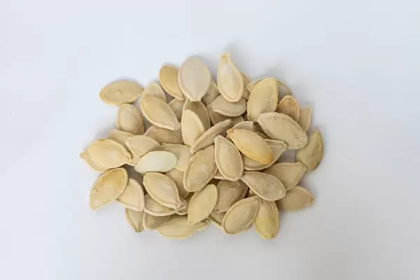 Close Up on roasted pumpkin seeds with shells