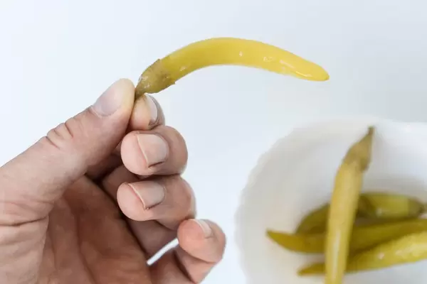 Close Up on the Hand Holding a Green Chilly Pepper