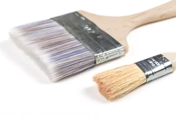 Close-up, paint brushes on white