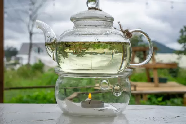 Close Up Photo of a Glass Tea Pot with Nature behind turned upside down