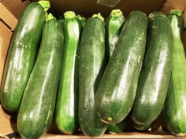 Close Up Photo of Green Zucchini in a Box