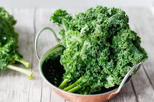 Close Up Photo of Kale in a Colander on a Wooden Table