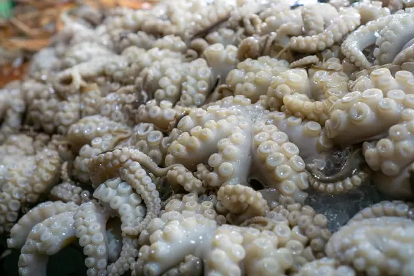 Close Up Photo of Raw Baby Octopus on Crushed Ice at a Street Food Night Market in the Mekong Delta, Vietnam