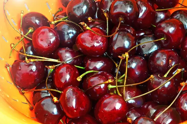 Close Up Photo of Washed Cherries in a Bowl