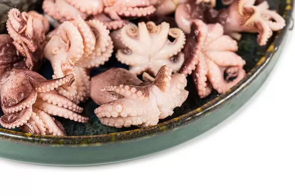 Close-up, pickled octopus in a green plate