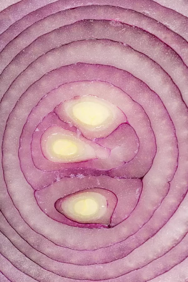 Close up, purple onion slice as a background