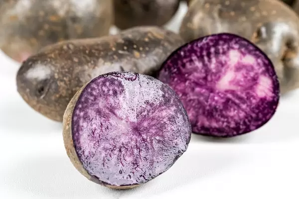 Close-up, purple ripe potato halves