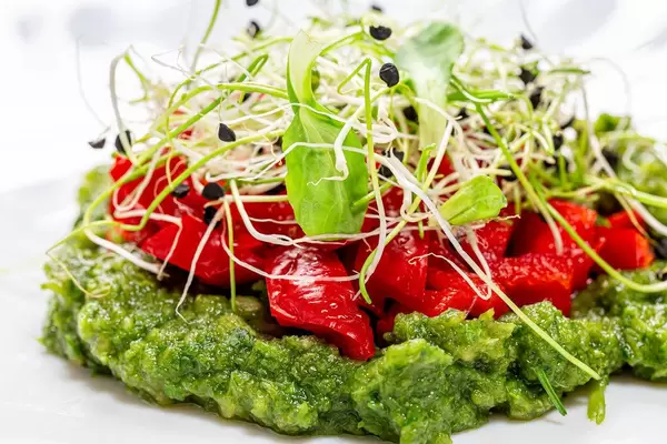 Close-up salad with onion sprouts, sweet peppers and green puree made of vegetables and herbs