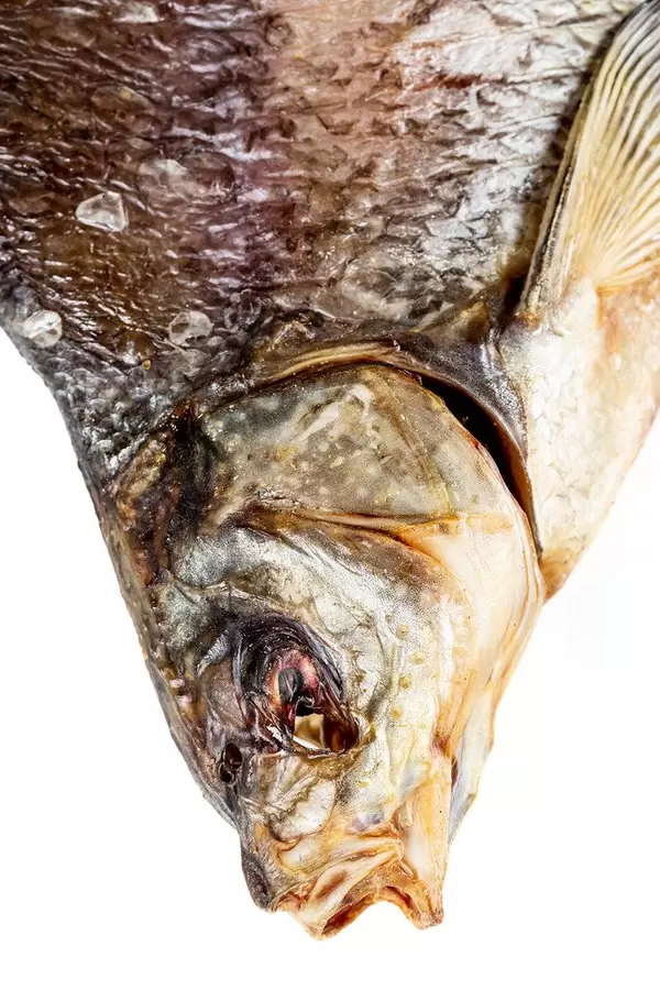 Close up, salted dried bream