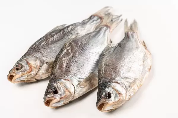 Close-up, salted dried fish without scales
