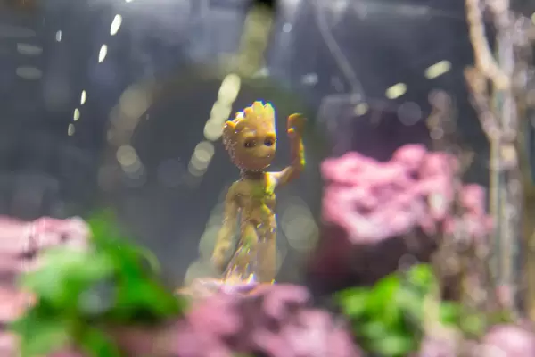 Close-up shot of Baby Groot figure