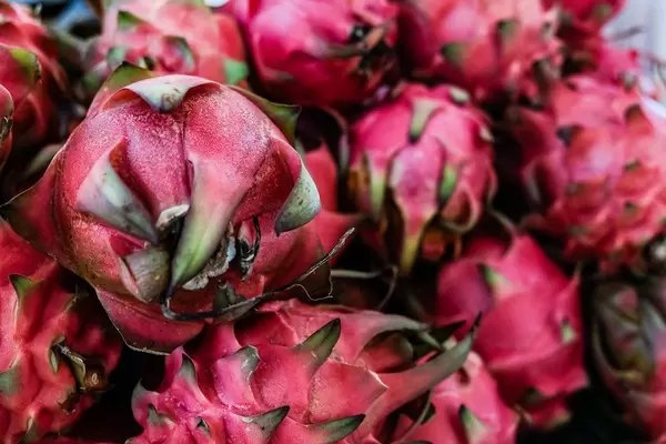 Close up shot of dragon fruits