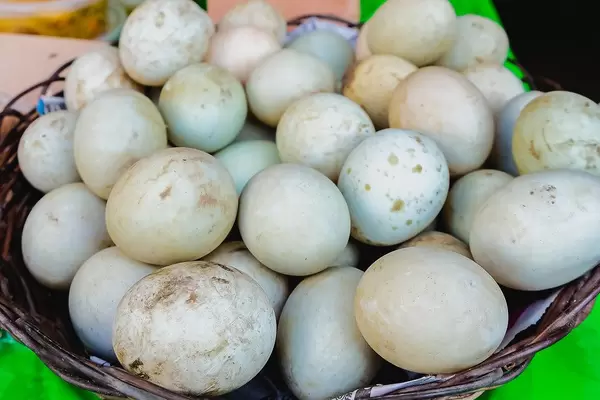 Close up shot of duck eggs on display