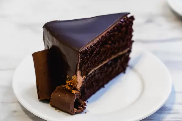 Close up shot of moist chocolate cake.jpg