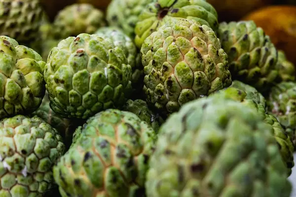 Close up shot of ripe atis fruits (Flip 2019)