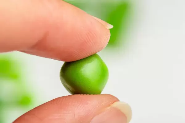 Close-up, sweet green peas in a woman's hand