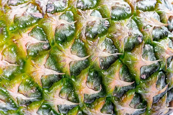 Close-up texture of pineapple peel (Flip 2019)