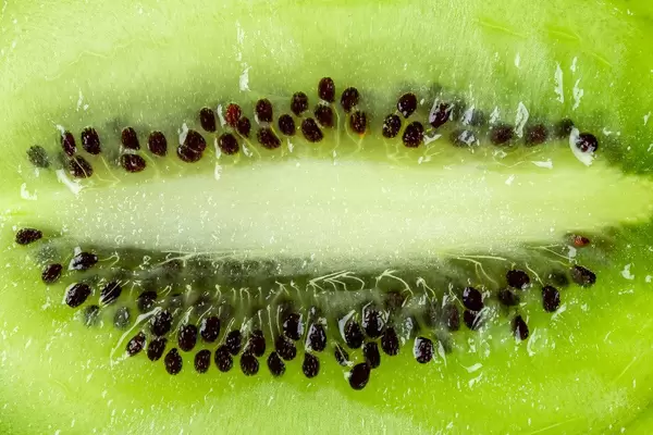 Close-up von einer geschnittenen grünen Kiwi als Hintergrund