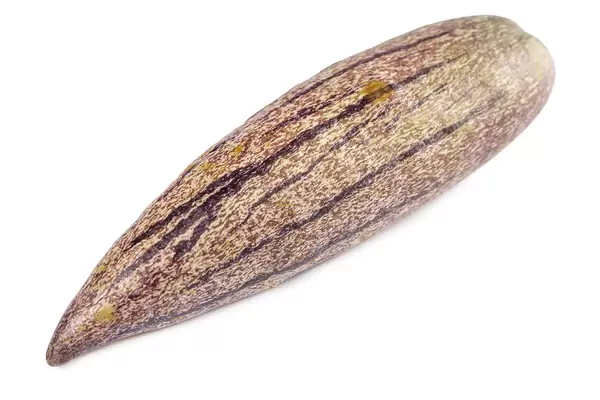 Close-up, whole fresh pepino fruit
