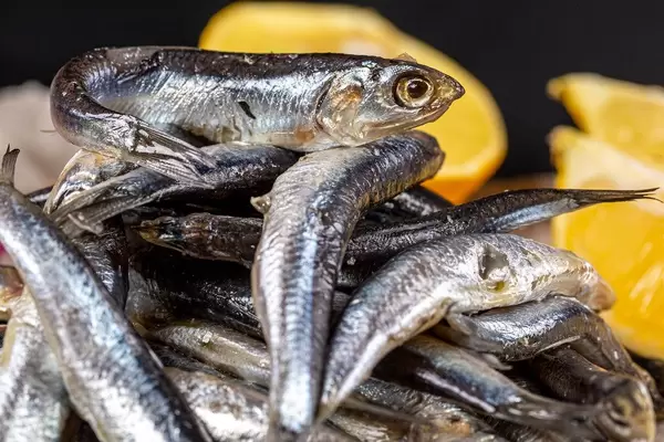 Close-up, whole spicy salted hamsa