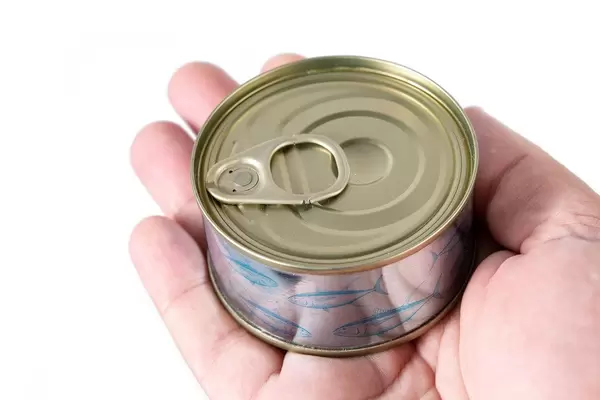 Closed Canned Fish in the hand (Flip 2019)